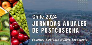 INIA y U. de Chile invitan a revisar las últimas tendencias en manejo y tecnología de postcosecha de fruta 